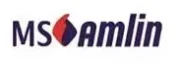 msamlin